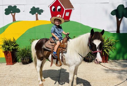 FullSizeRender-preview